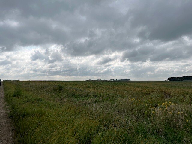 Picture 37