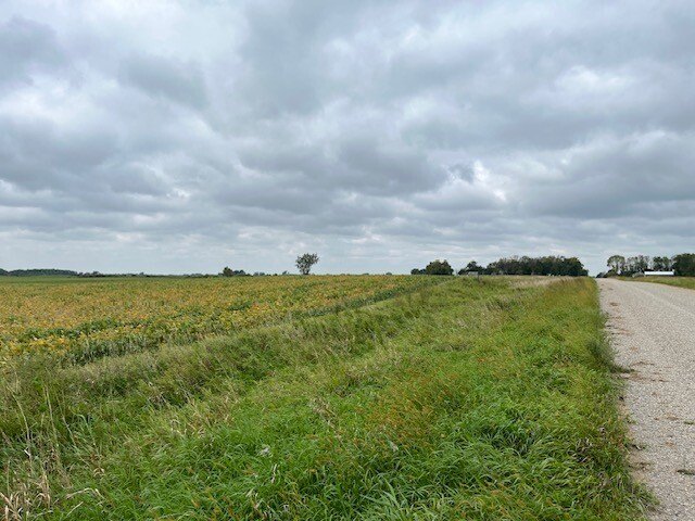 Picture 46