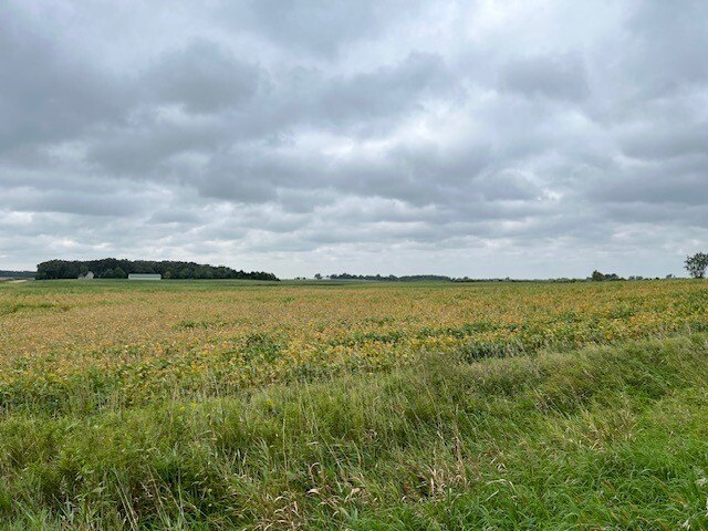 Picture 44