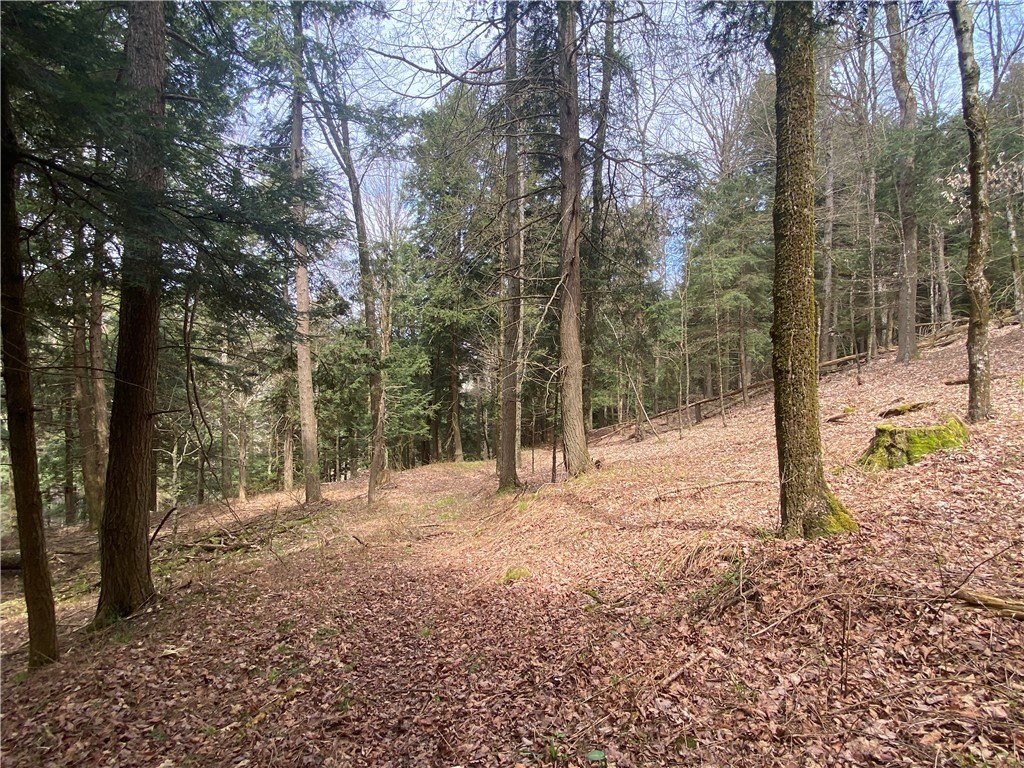 Picture 8