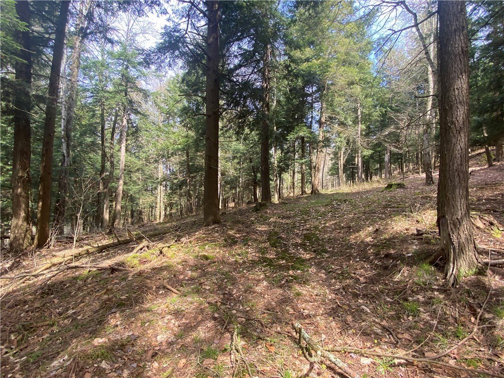 Picture 4