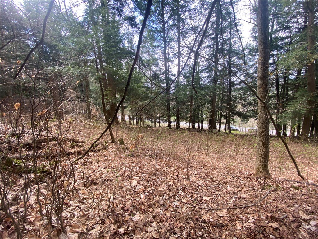 Picture 10