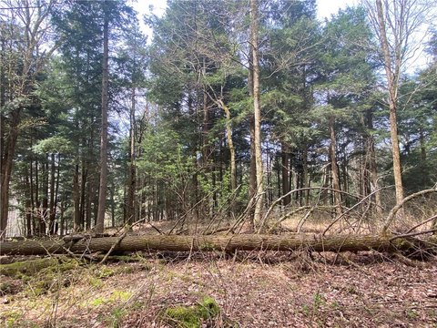 LAND - Hartwick, NY