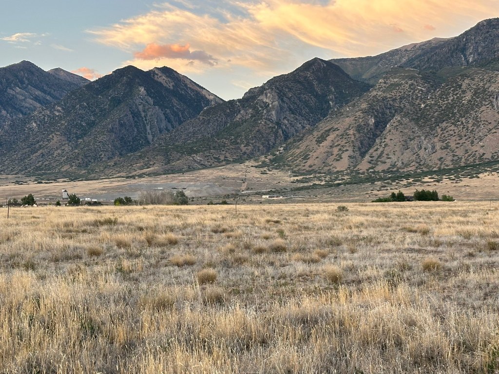 Picture 6