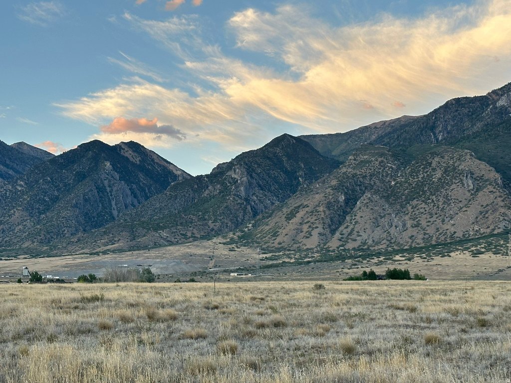 Picture 4