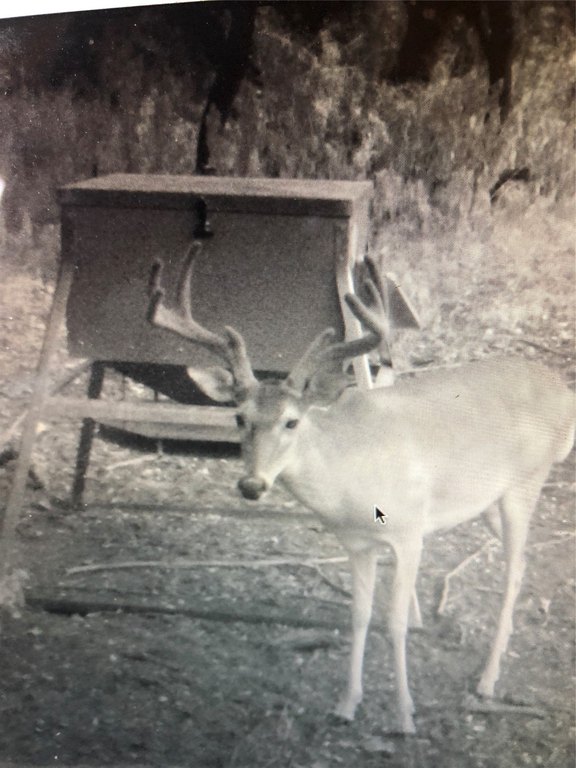 Picture 36