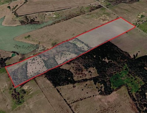Prime Acreage in Weston, Texas