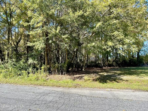 LAND - Robersonville, NC