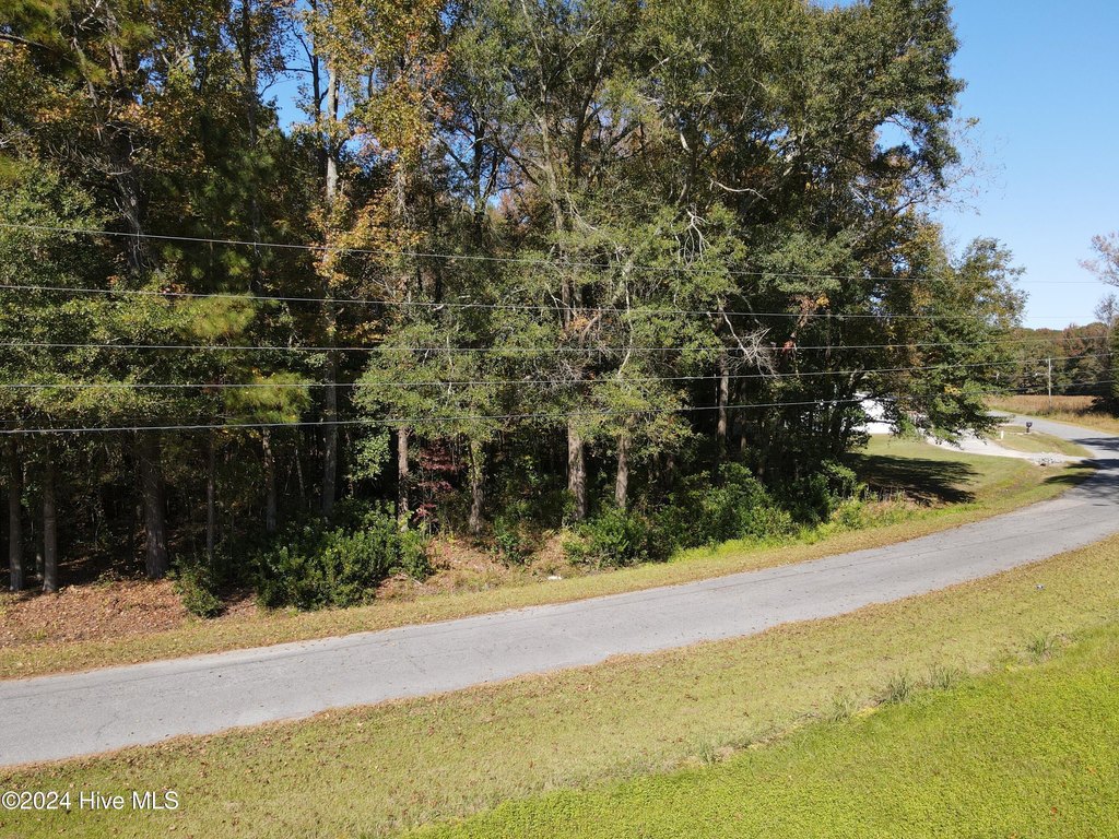 Picture 11