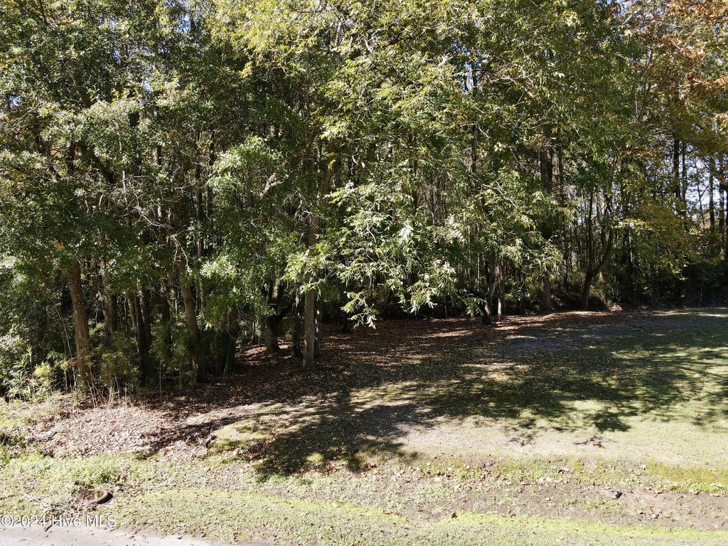 Picture 7