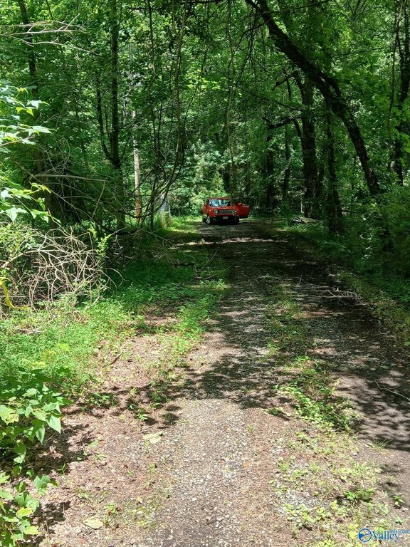 Picture 11