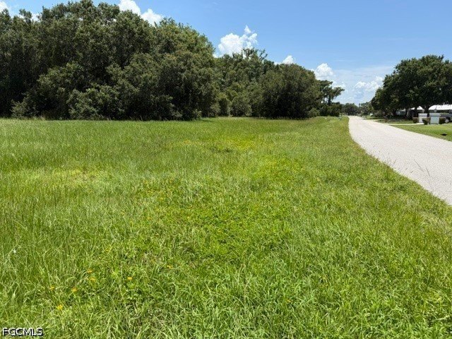 Picture 4