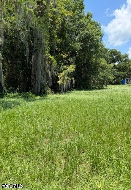 Picture 5