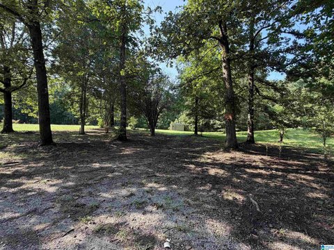 LAND/LOTS, EMPIRE, AL