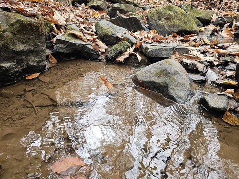 Wooded Recreation Land with Creek