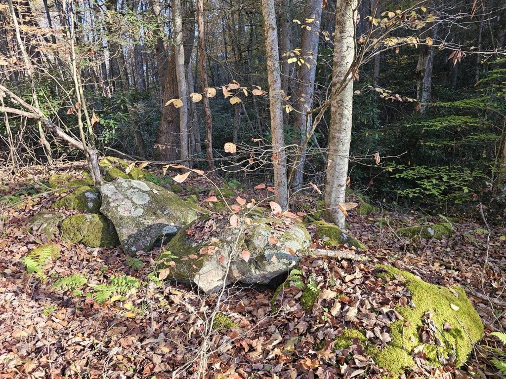 Picture 11
