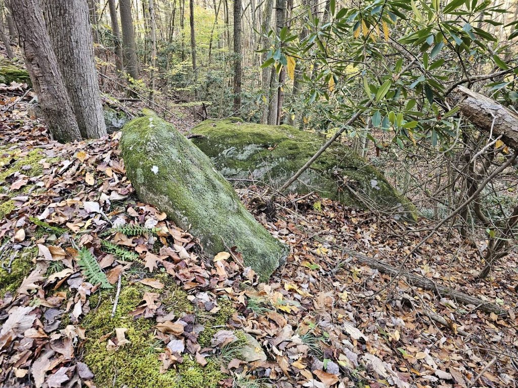 Picture 25