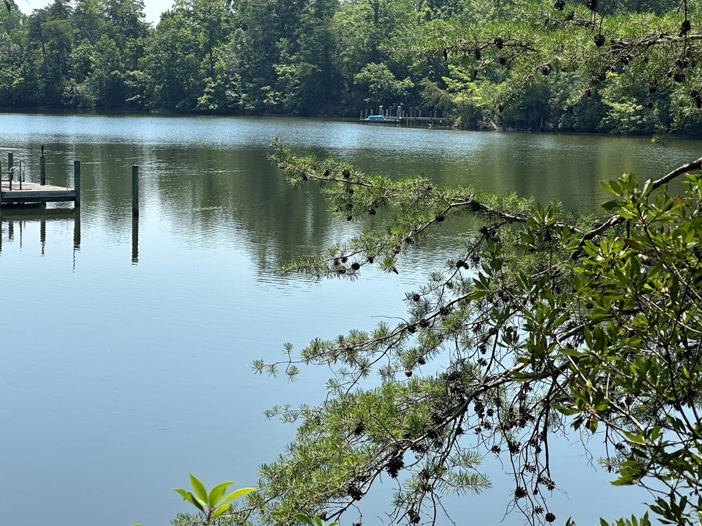 Picture 9