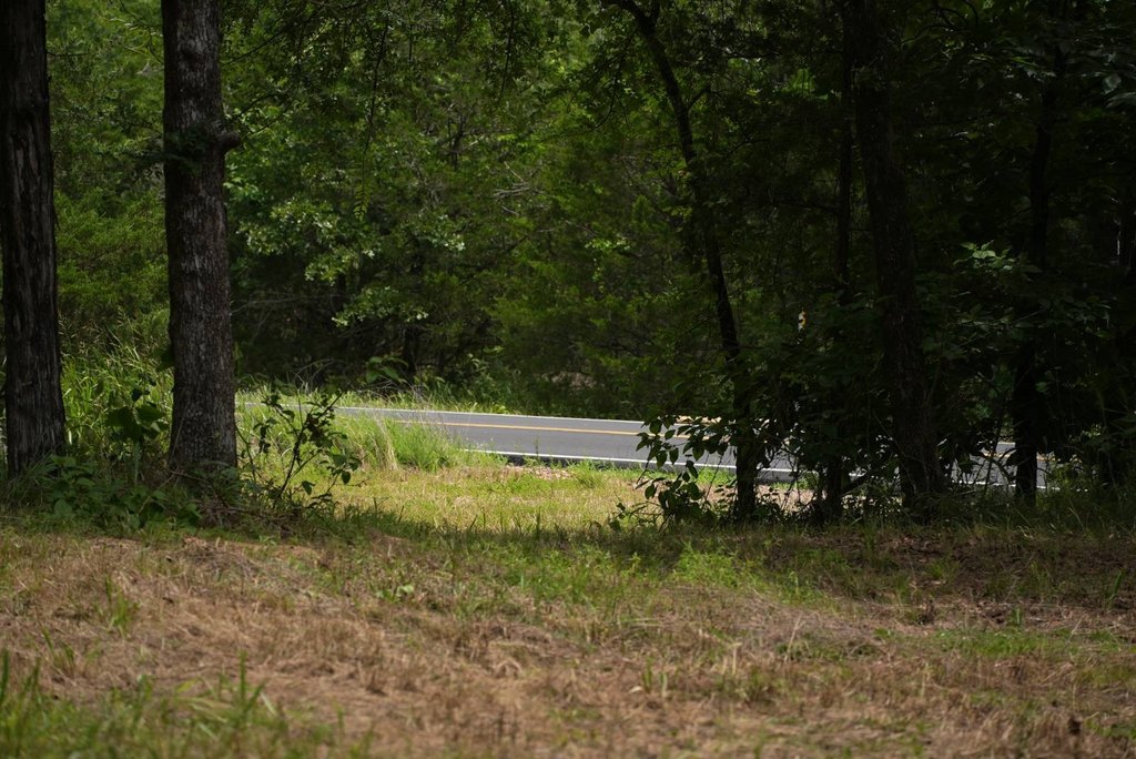 Picture 39