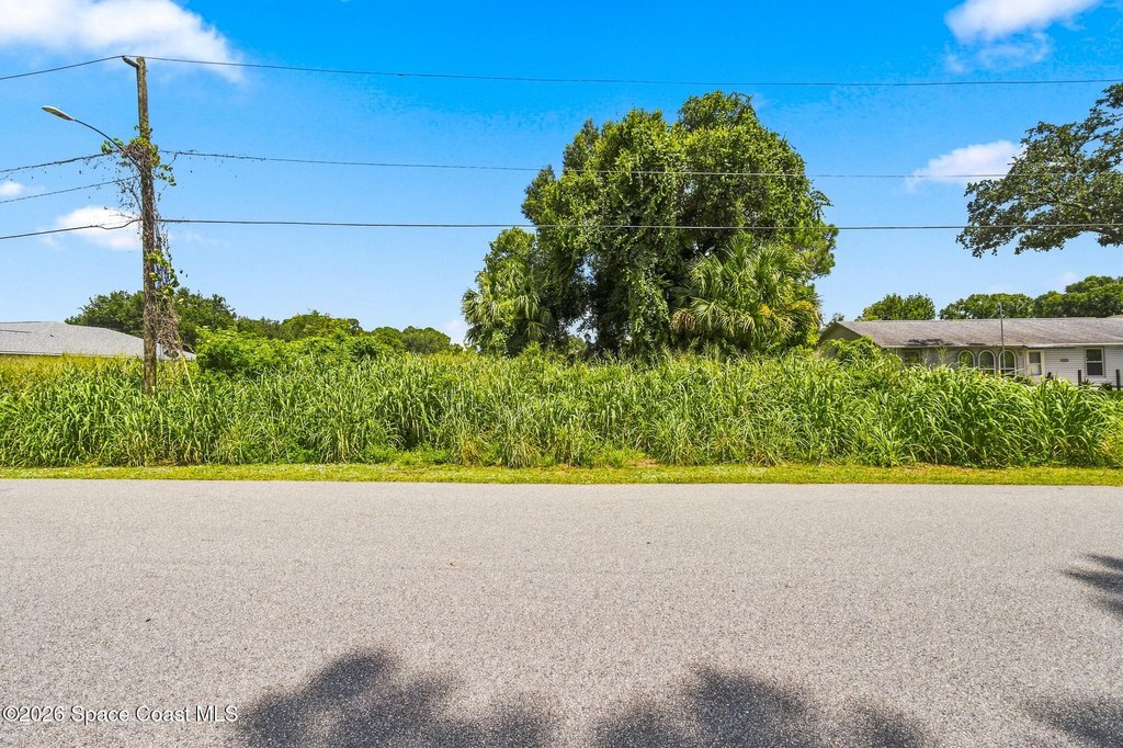 Picture 4