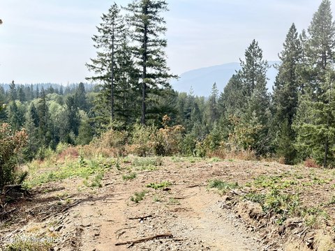 Land, Sandpoint, ID