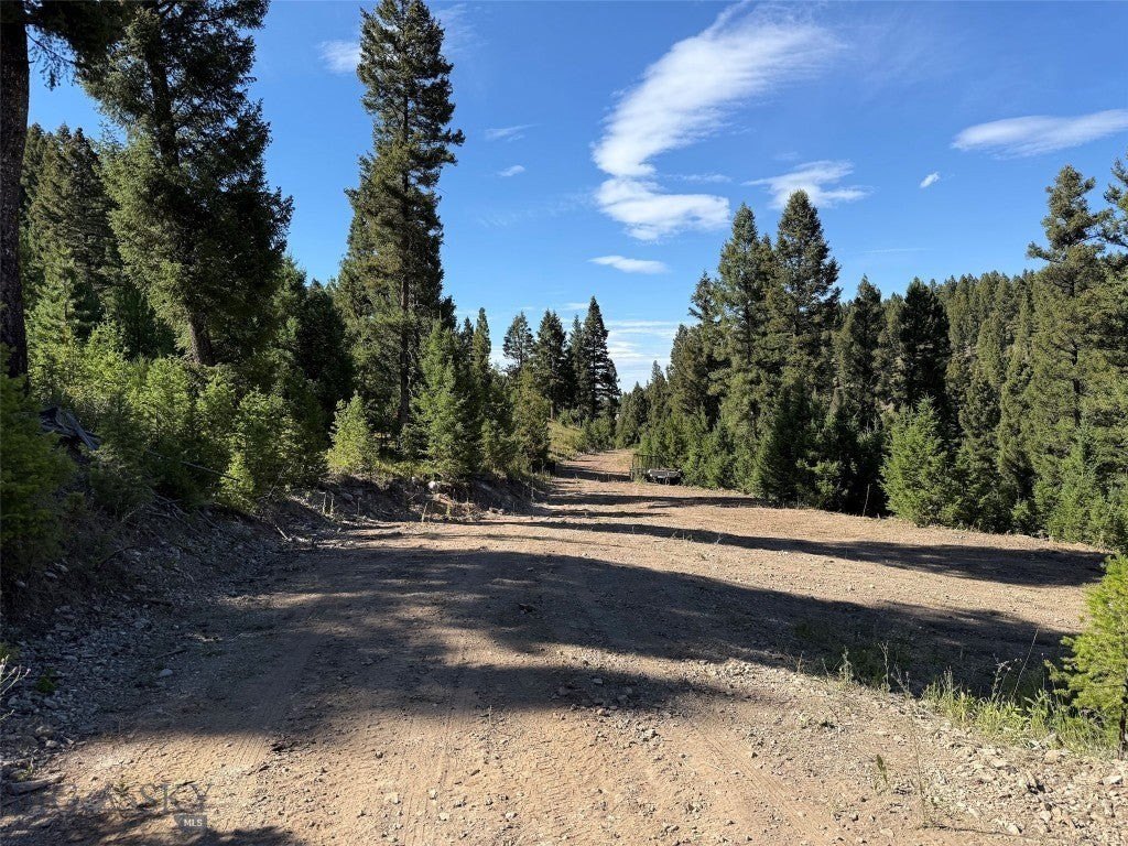 Picture 25