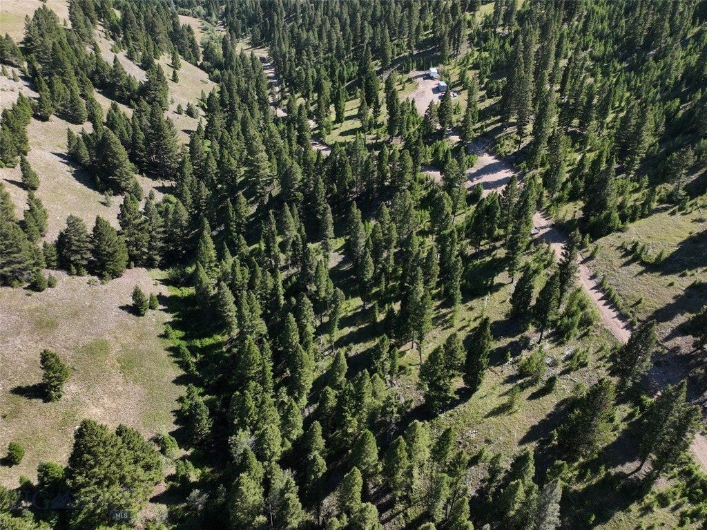 Picture 10