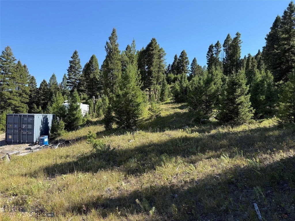 Picture 21