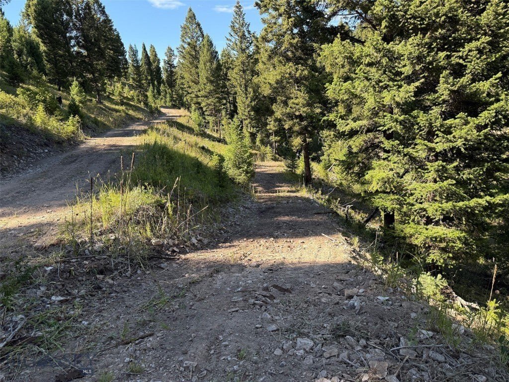 Picture 28