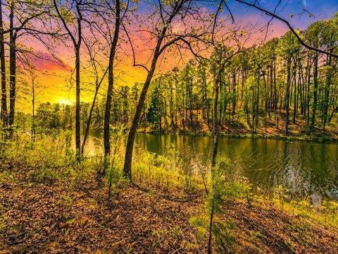 Lakefront Lot in High River