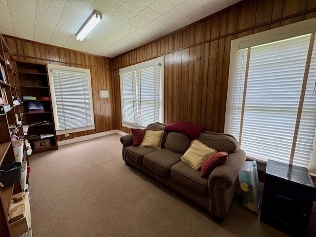 Picture 15
