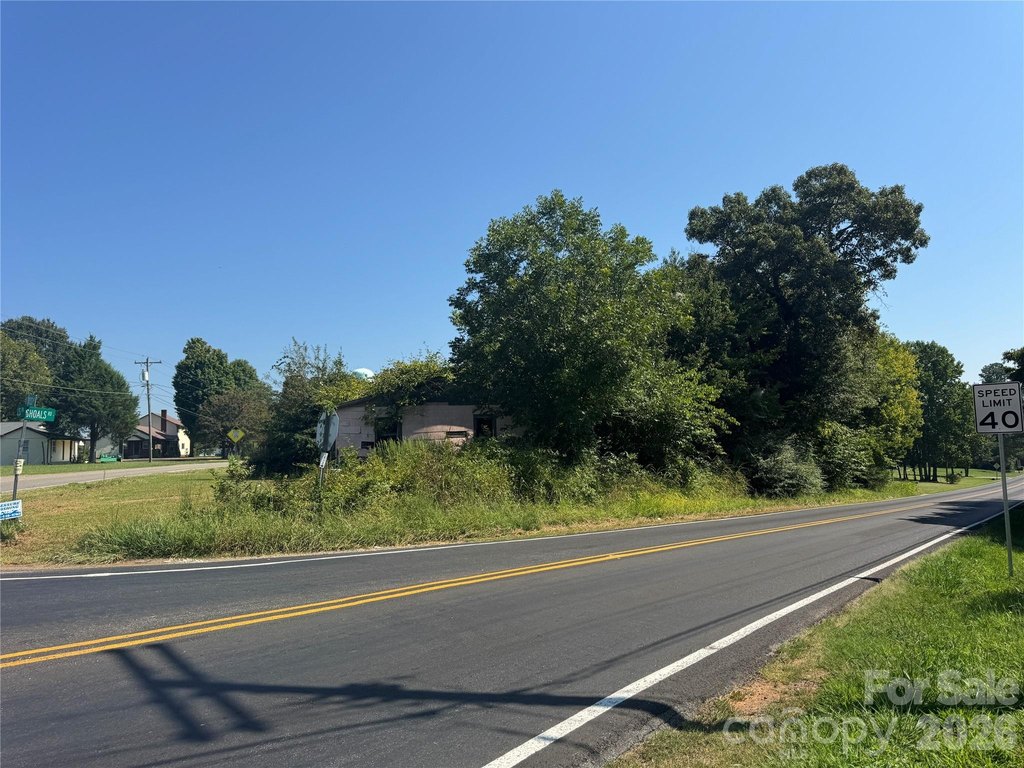 Picture 5