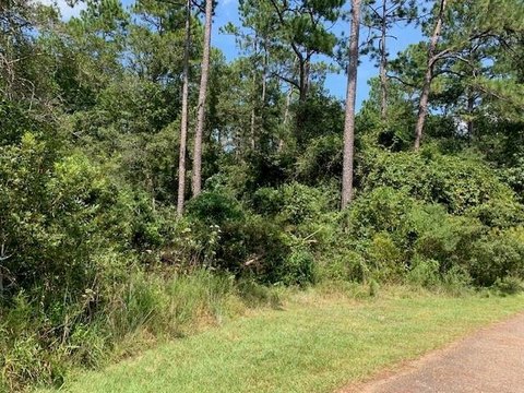 Residential Land in Abita Springs