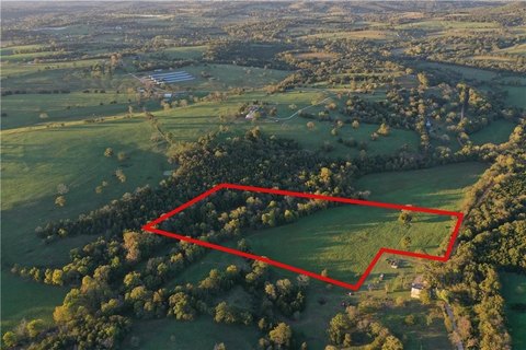 Berryville Land with Pasture, Timber