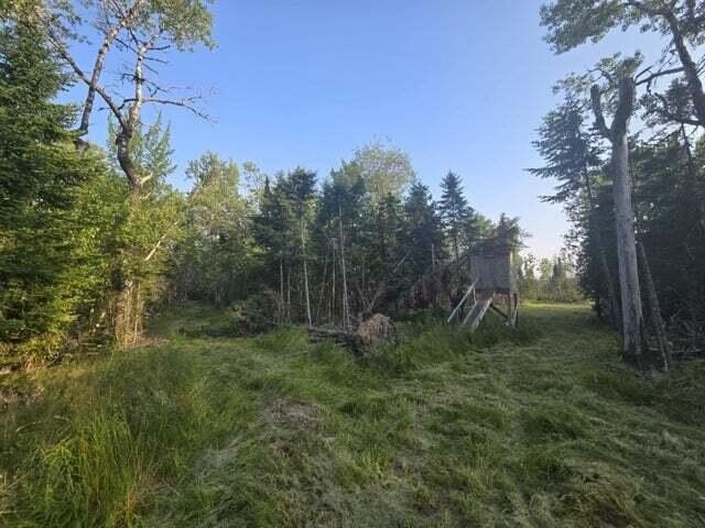 Picture 8