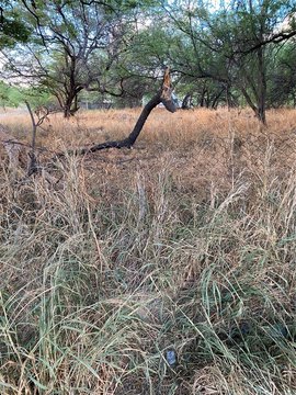Land in Waianae, Hawaii