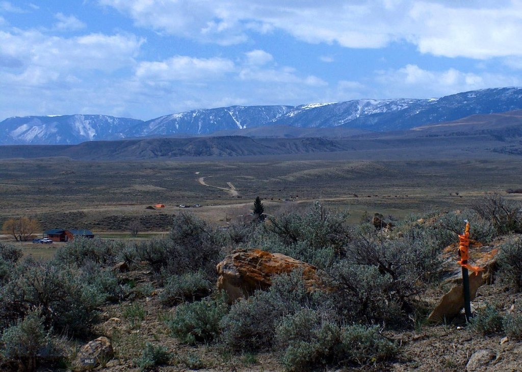 Picture 36