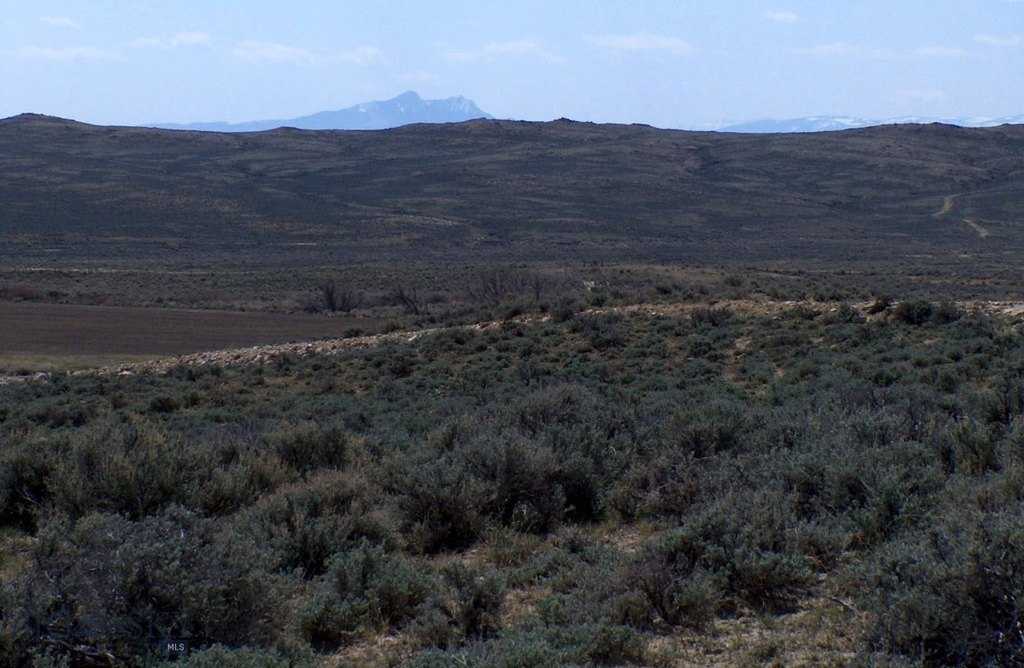 Picture 28