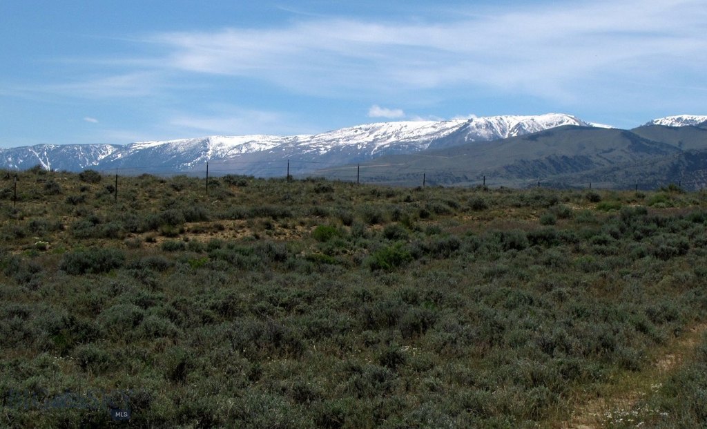 Picture 33