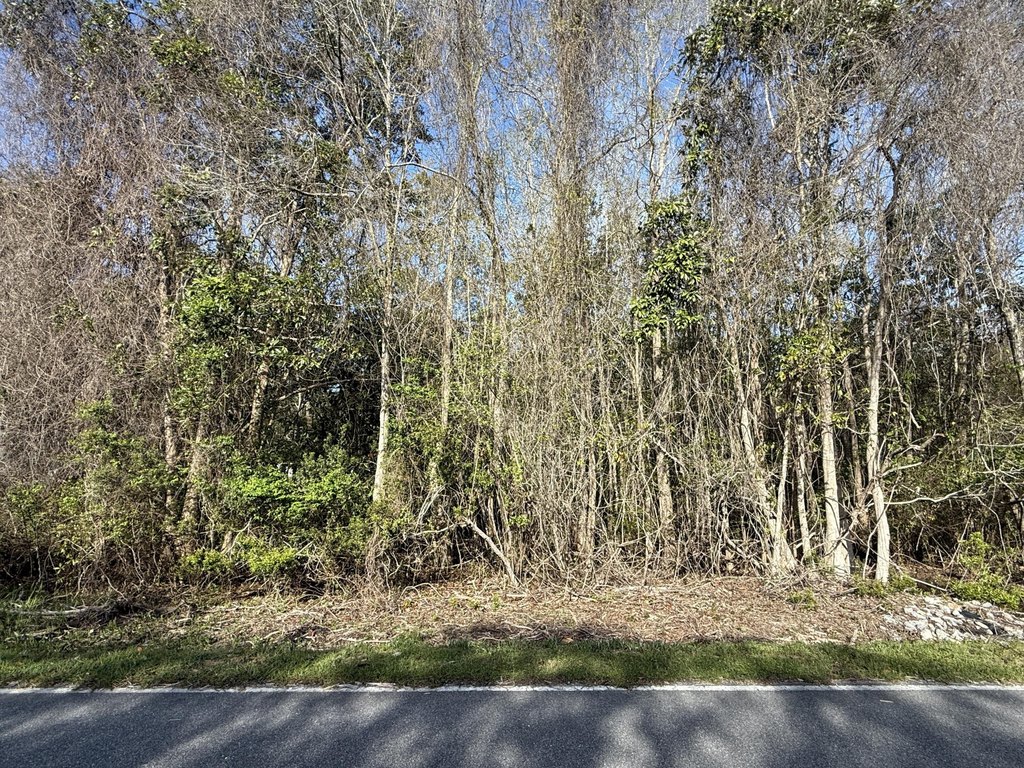 Picture 12