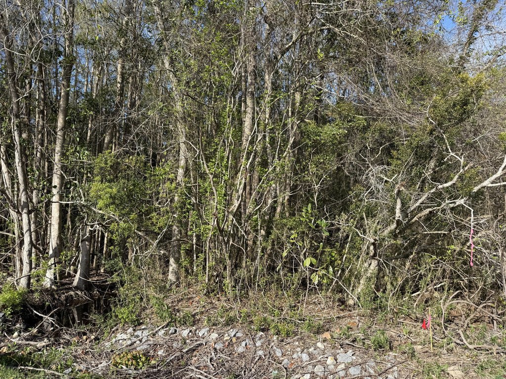 Picture 23