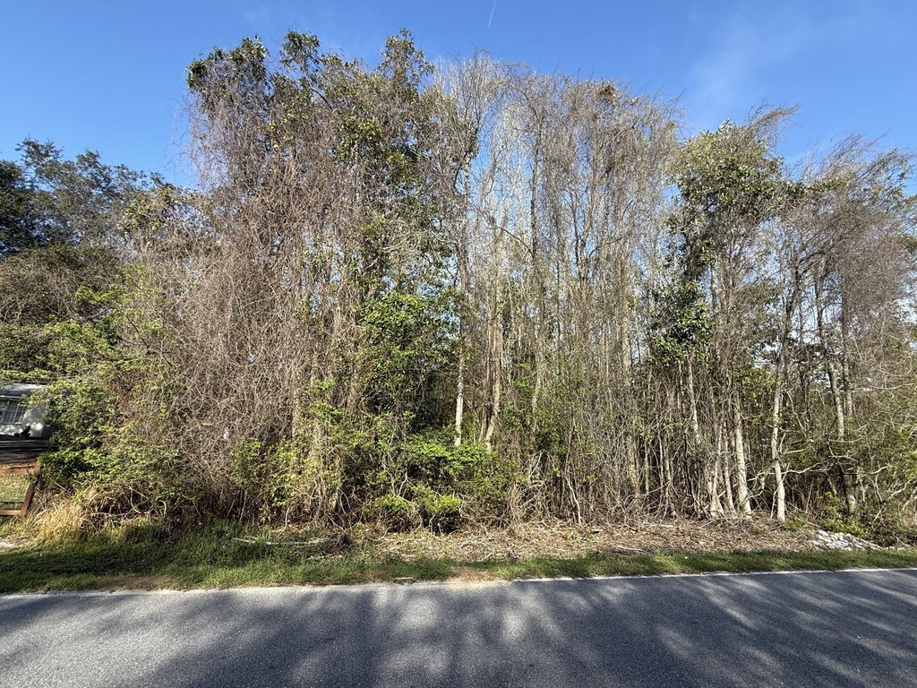 Picture 25