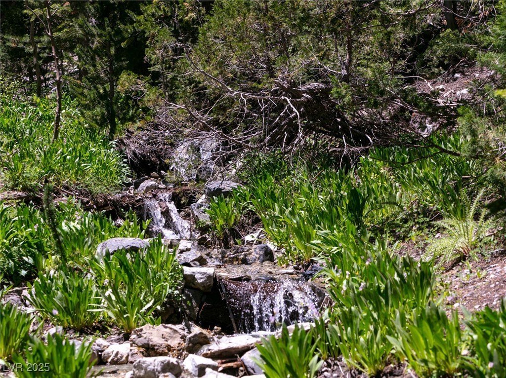 Picture 32