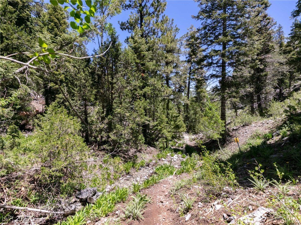 Picture 36