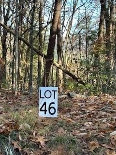 Dawsonville Land with Mountain Views