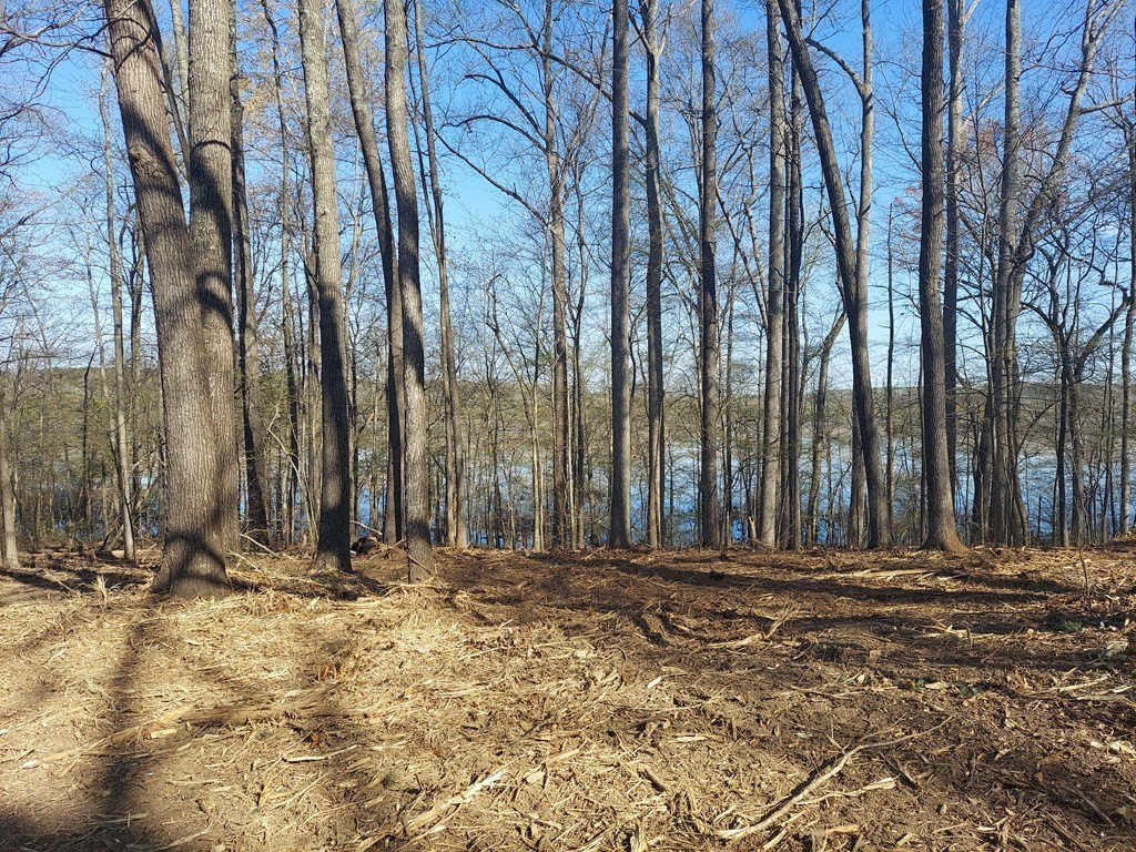 Picture 3