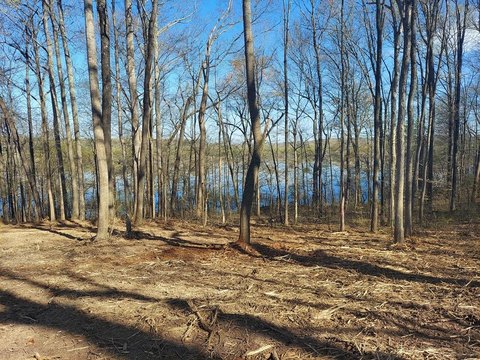 Recreational Land in Springville, TN
