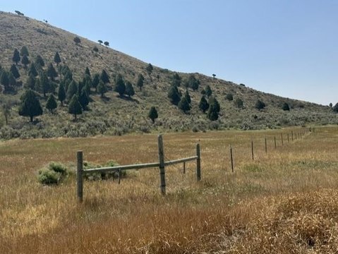 LAND - Bancroft, ID