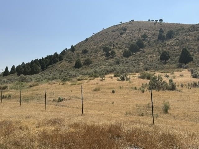 Picture 10