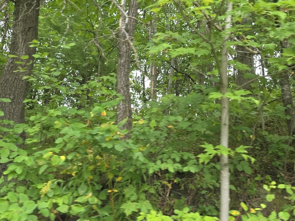 Picture 22